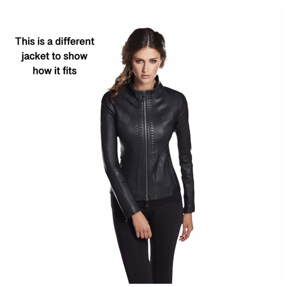 Express Suede Jacket - Picture 5 of 6